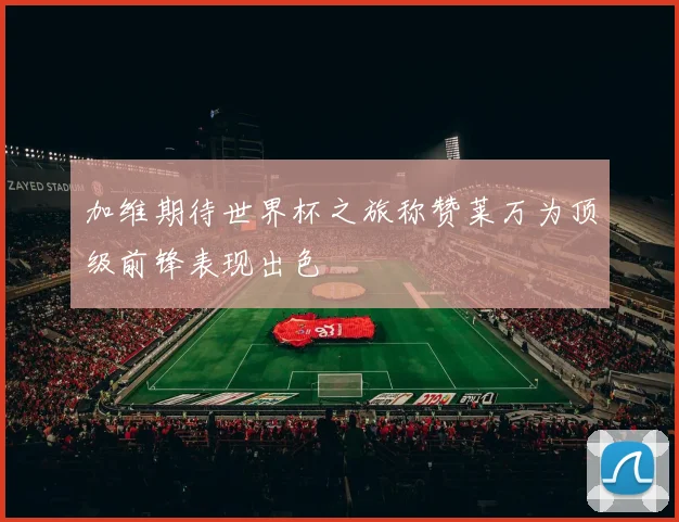 加维期待世界杯之旅称赞莱万为顶级前锋表现出色