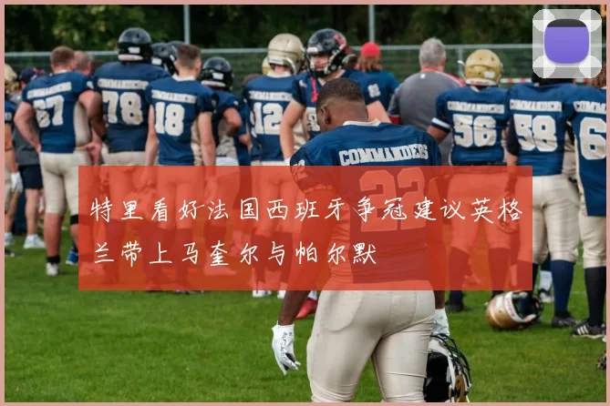 特里看好法国西班牙争冠建议英格兰带上马奎尔与帕尔默